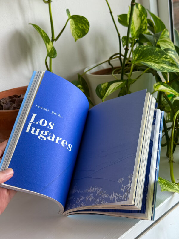 Libro-Leer en caso de – clara carusa