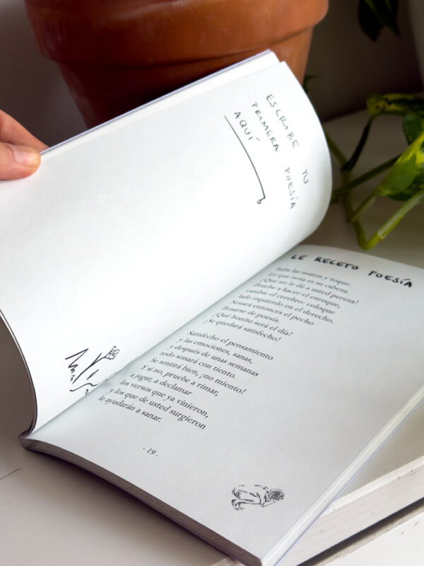 Libro- Personas sin problemas pero con problemas– clara carusa